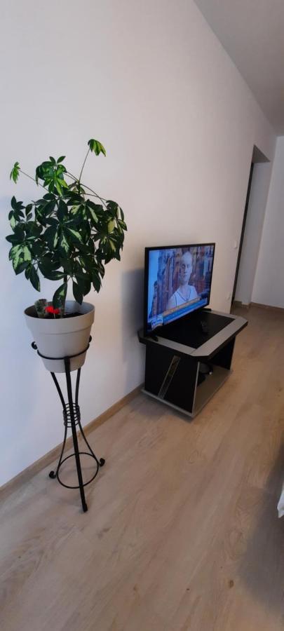 Farmec Studio Apartman Kolozsvár Kültér fotó