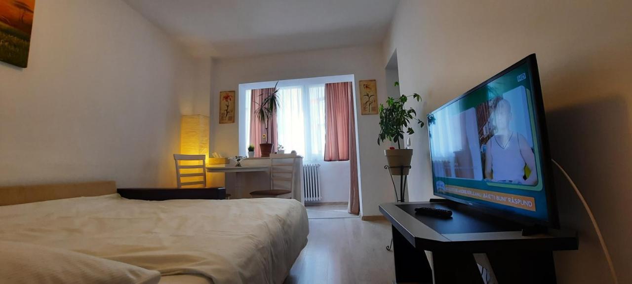 Farmec Studio Apartman Kolozsvár Kültér fotó