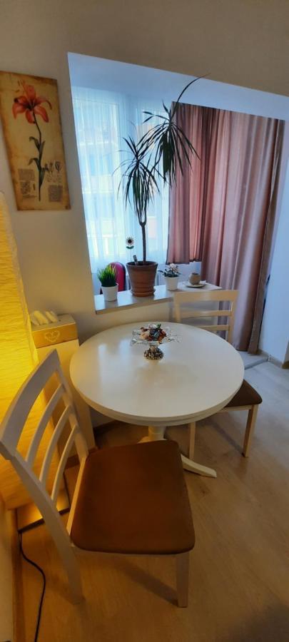 Farmec Studio Apartman Kolozsvár Kültér fotó