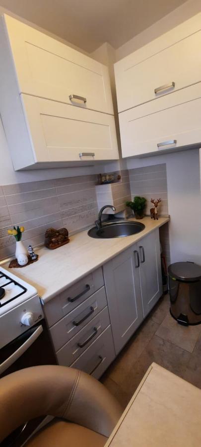 Farmec Studio Apartman Kolozsvár Kültér fotó